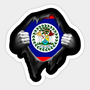 Belize Flag Belizean Roots DNA Pride Gift Sticker